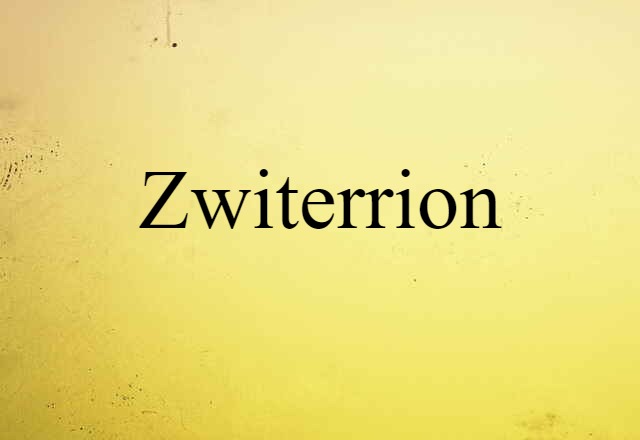 Zwiterrion (noun) Definition, Meaning & Examples