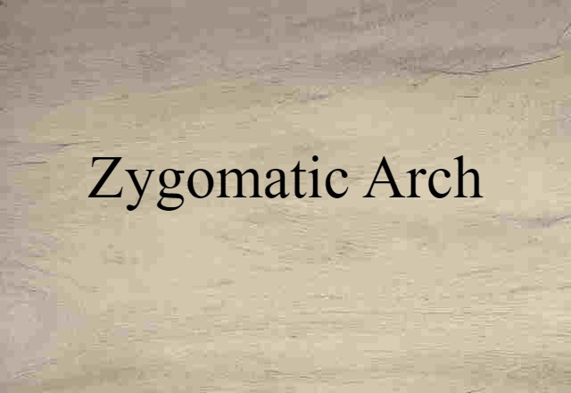 zygomatic arch