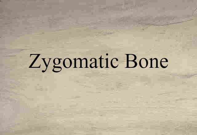 Zygomatic Bone (noun) Definition, Meaning & Examples