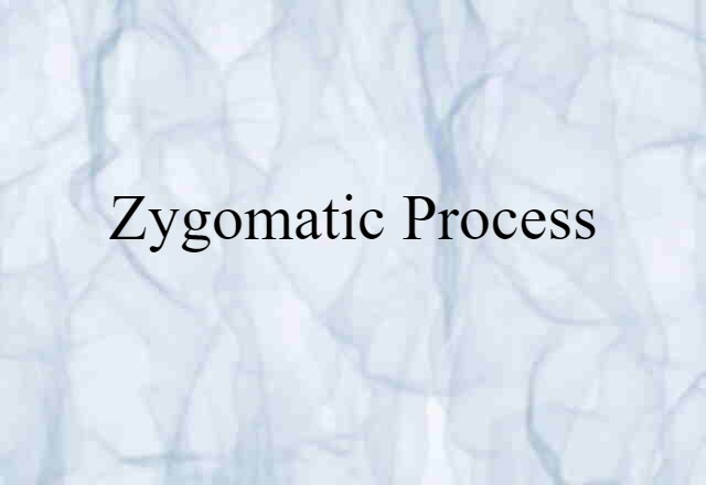 zygomatic process