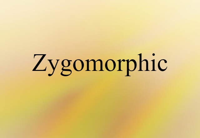 zygomorphic