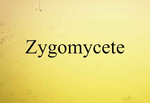 Zygomycete (noun) Definition, Meaning & Examples