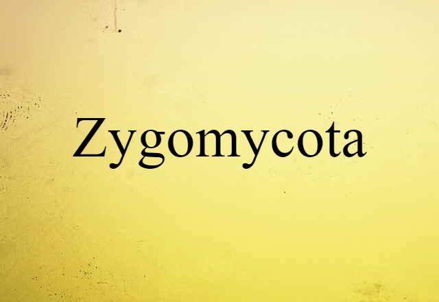 Zygomycota (noun) Definition, Meaning & Examples