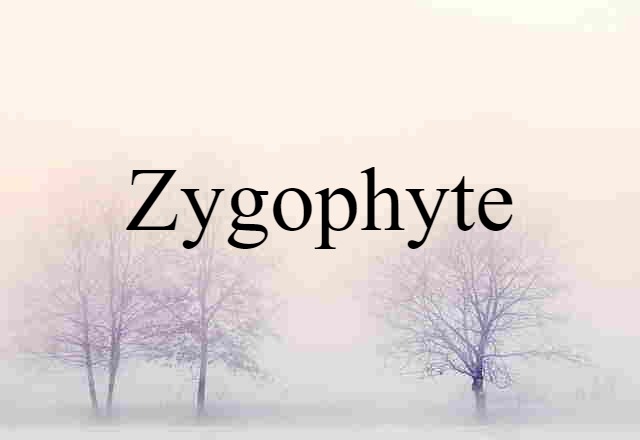 Zygophyte (noun) Definition, Meaning & Examples