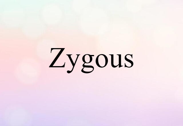 -zygous (noun) Definition, Meaning & Examples